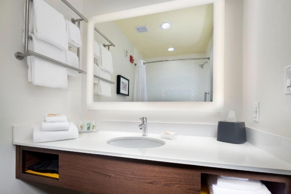 Holiday Inn & Suites Arden-Asheville Airport image 7