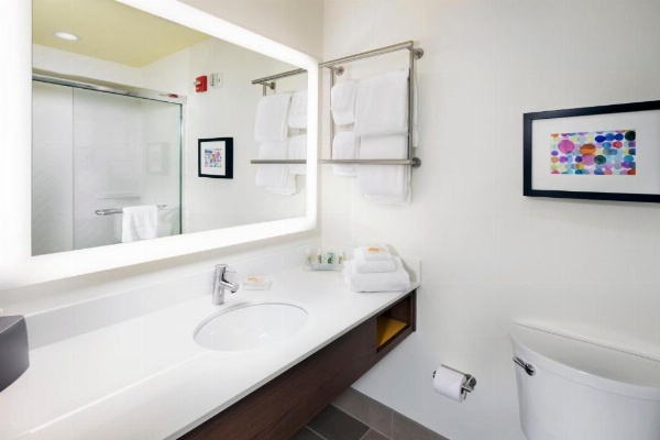 Holiday Inn & Suites Arden-Asheville Airport image 8